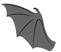 batwing pic
