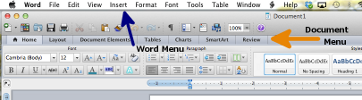 MS Word